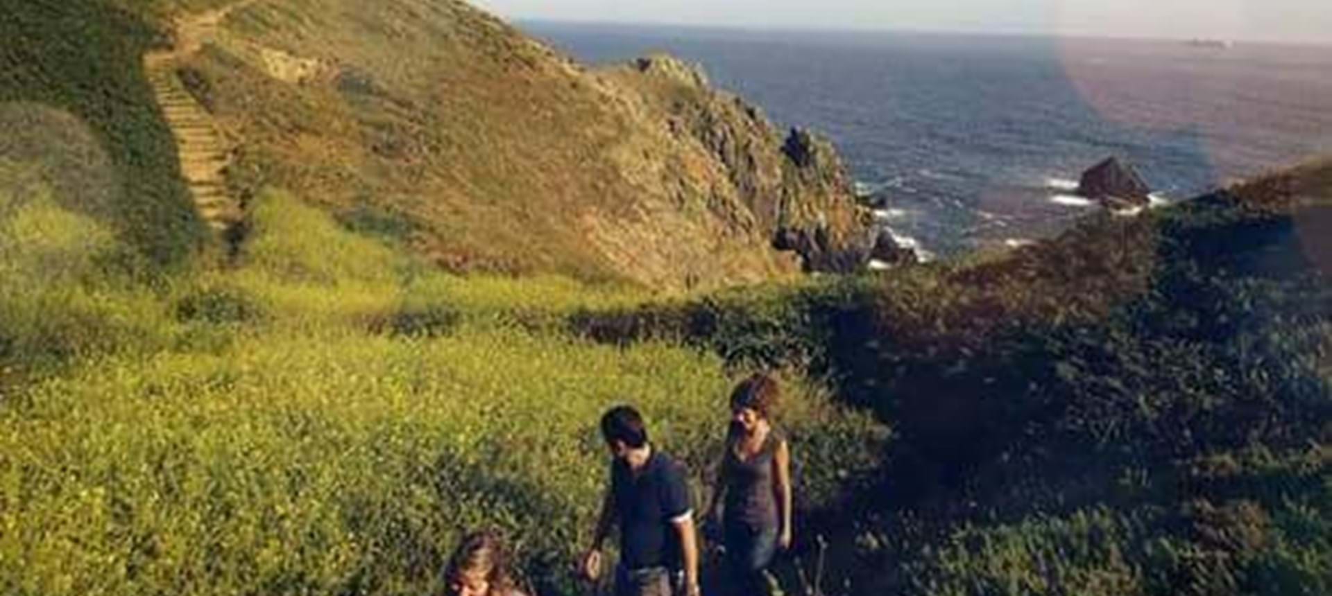 green fields and sea in background in guernsey