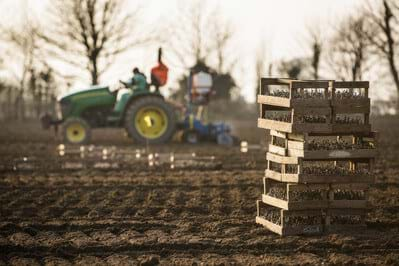 tractors ploughing jersey royal potatoes channel islands