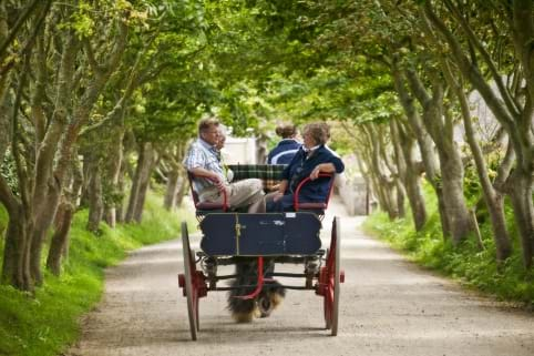 sark horse and carriage channel islands guernsey