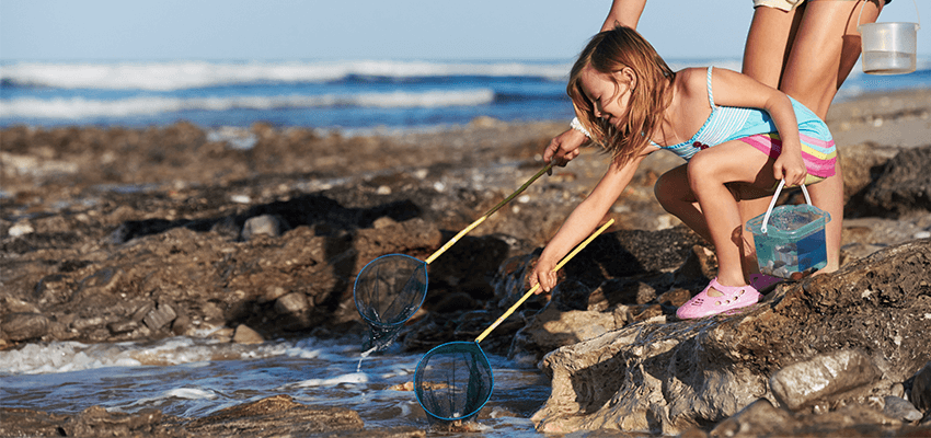 Rockpooling