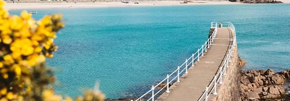 car driving on the road with sun