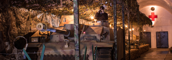 car driving on the road with sun