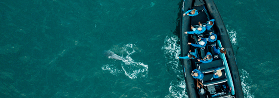 car driving on the road with sun