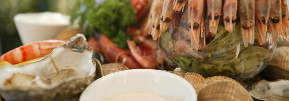 car driving on the road with sun