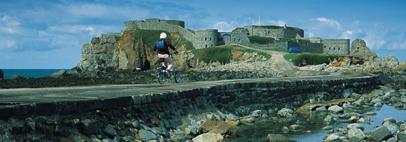 car driving on the road with sun