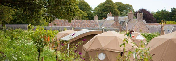 car driving on the road with sun