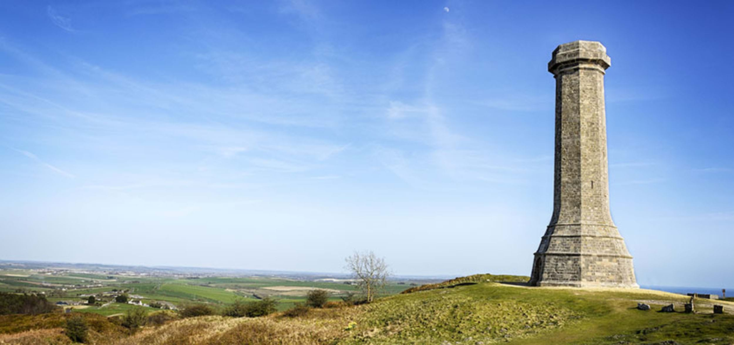 Hardy's Monument