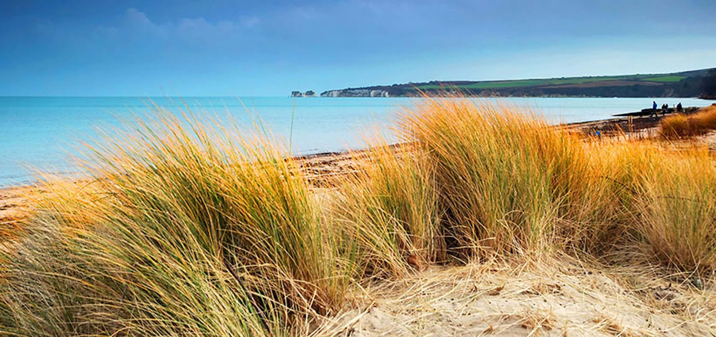 Studland Beach Poole