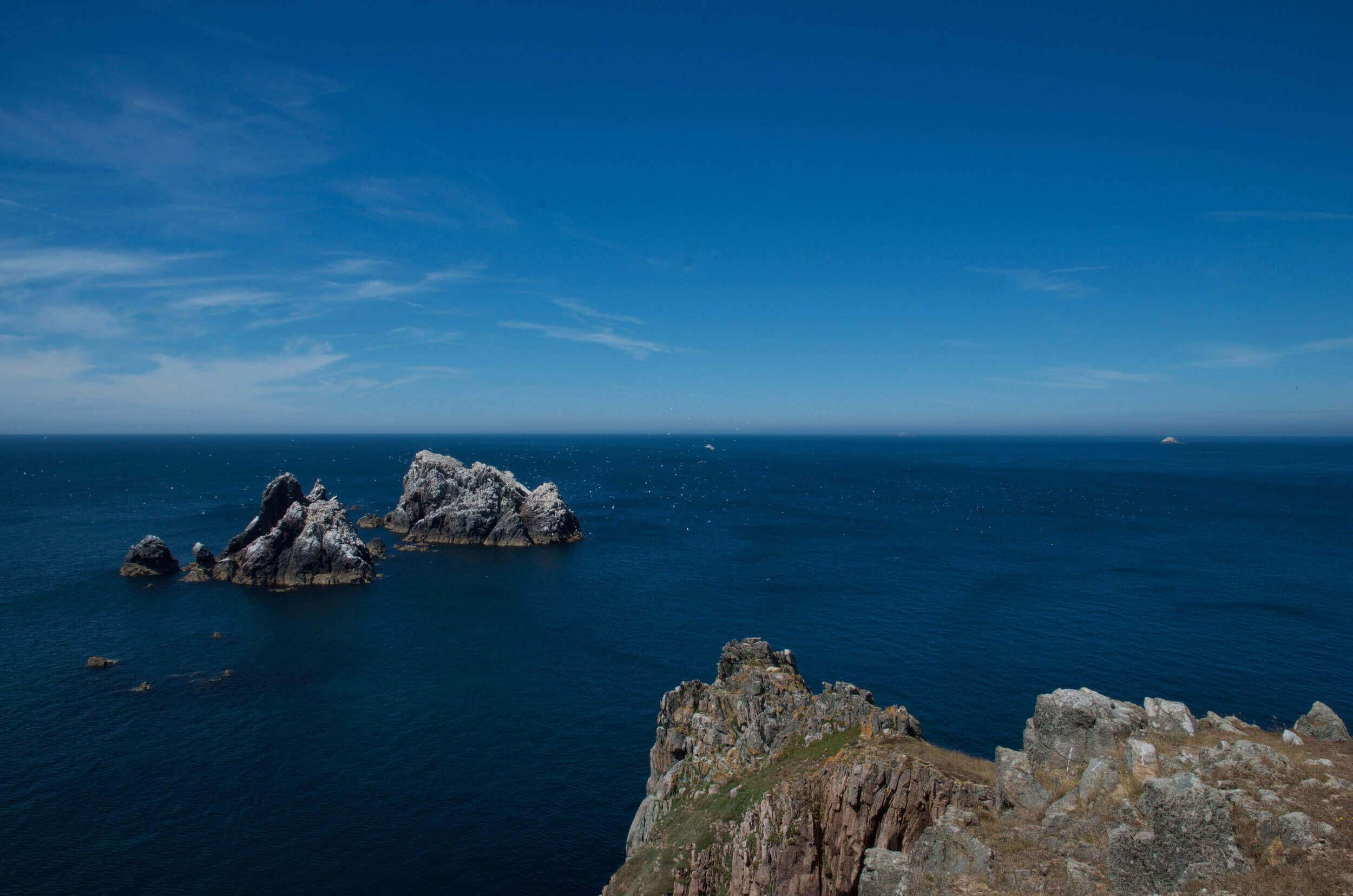 Alderney Wildlife Festival