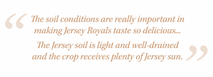 Jersey Royals Quote