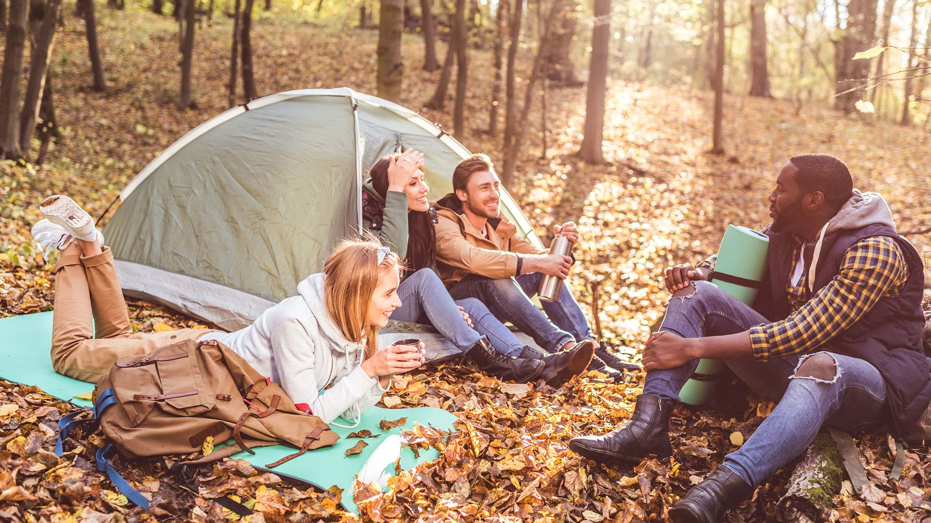 70+ Camping Statistics 2023 Industry Trends
