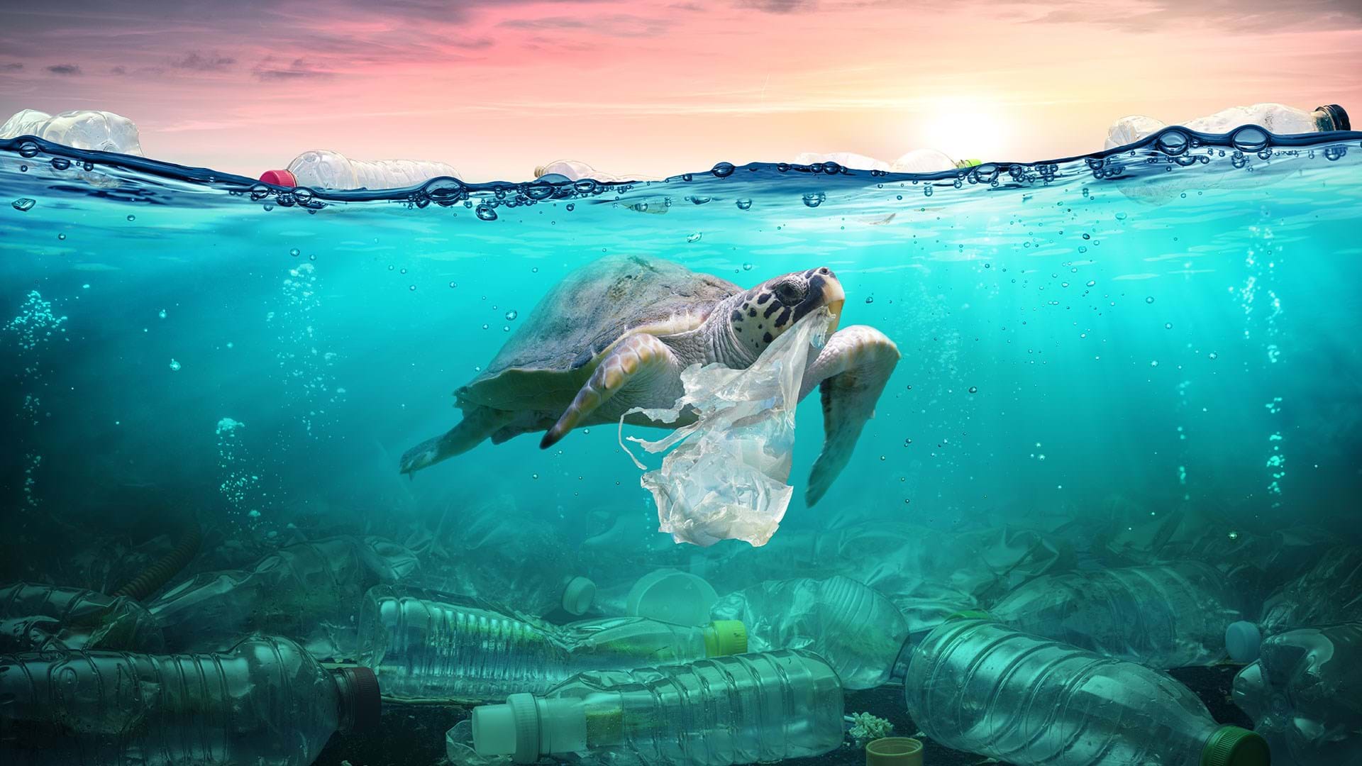 100+ Plastic in the Ocean Statistics & Facts (2020-2021)