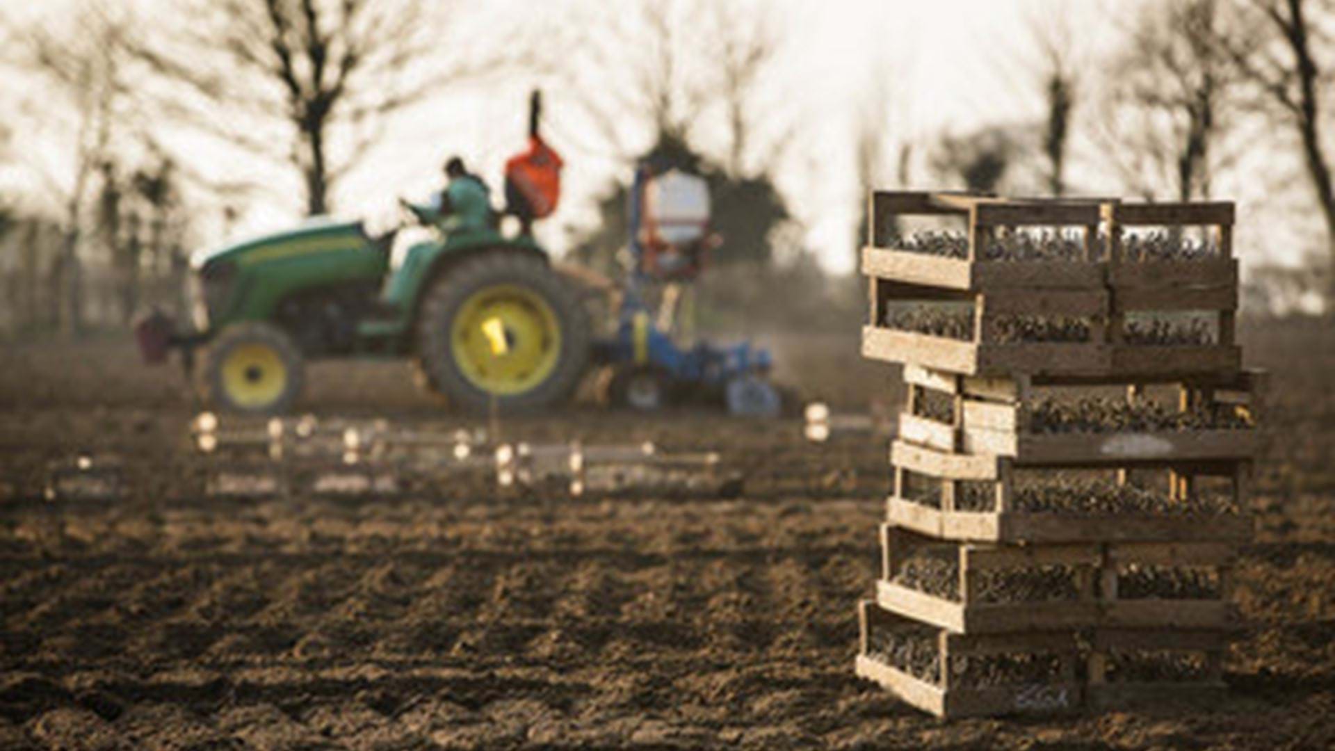 tractors-ploughing-jersey-royal-potatoes-channel-islands