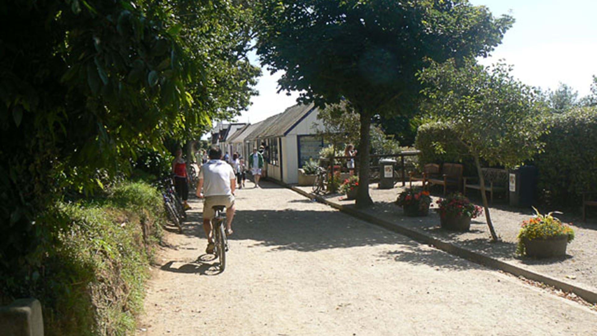 the-avenue-cycle-sark-guernsey-channel-islands