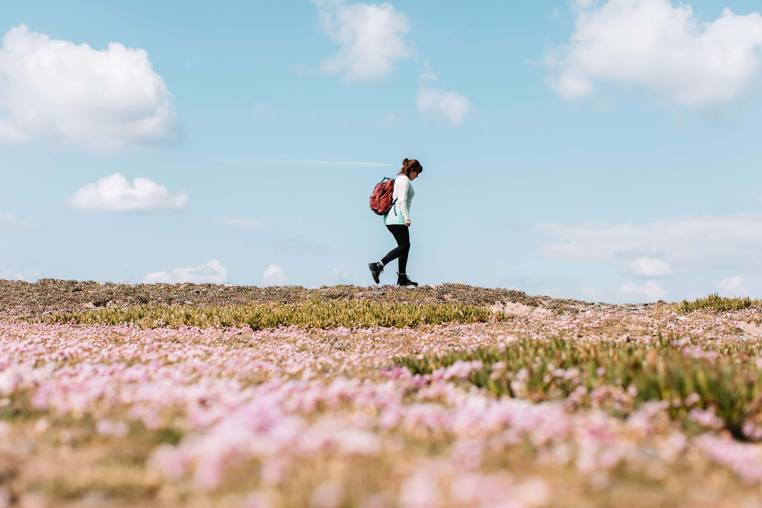 family-walks-in-jersey