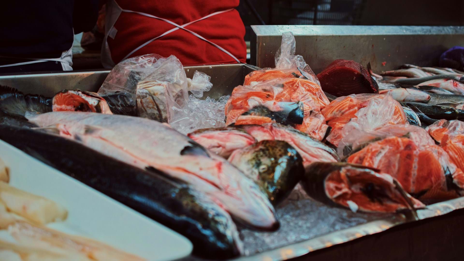 catch-at-the-old-fish-market