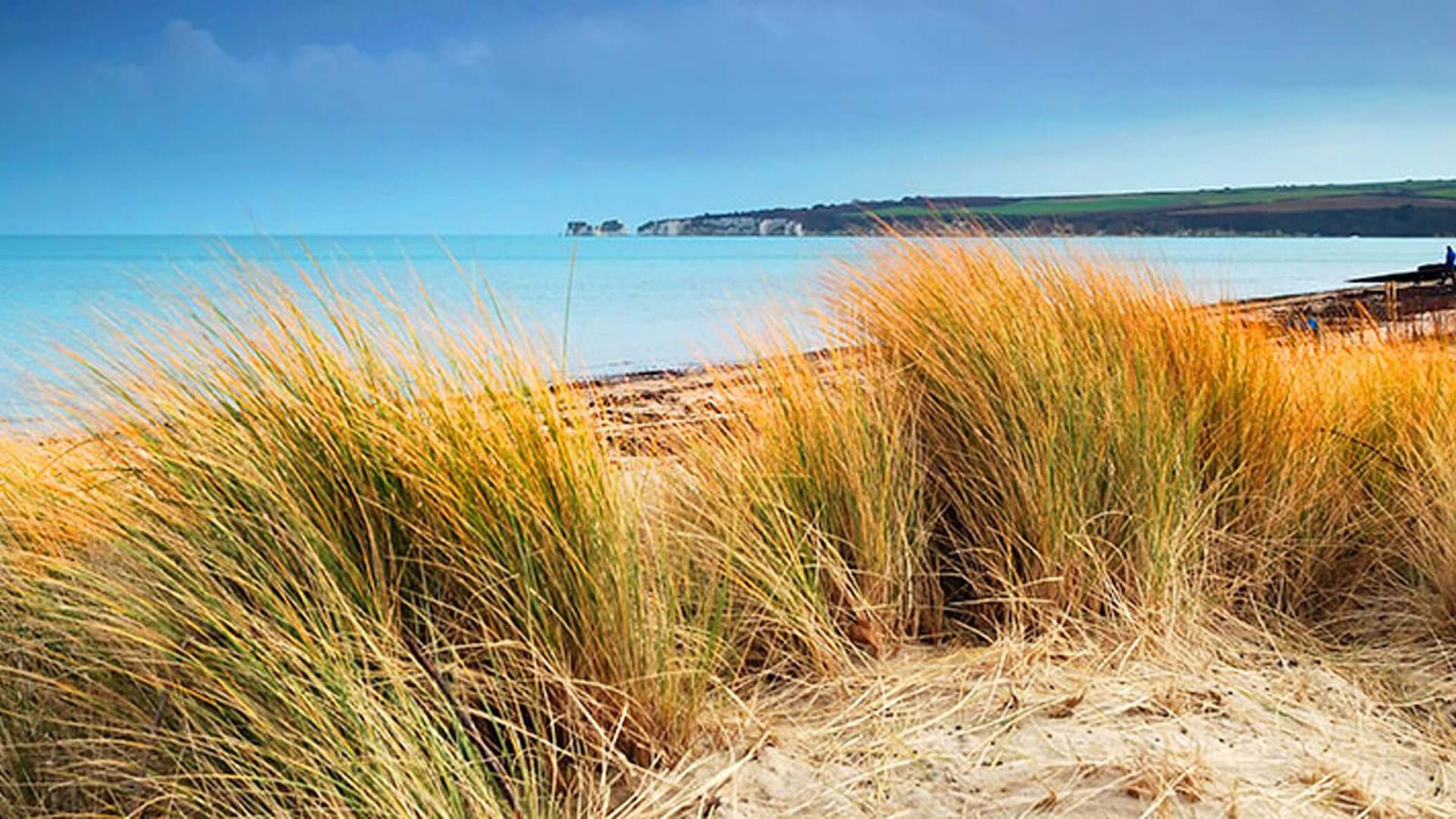 studland-beach-poole