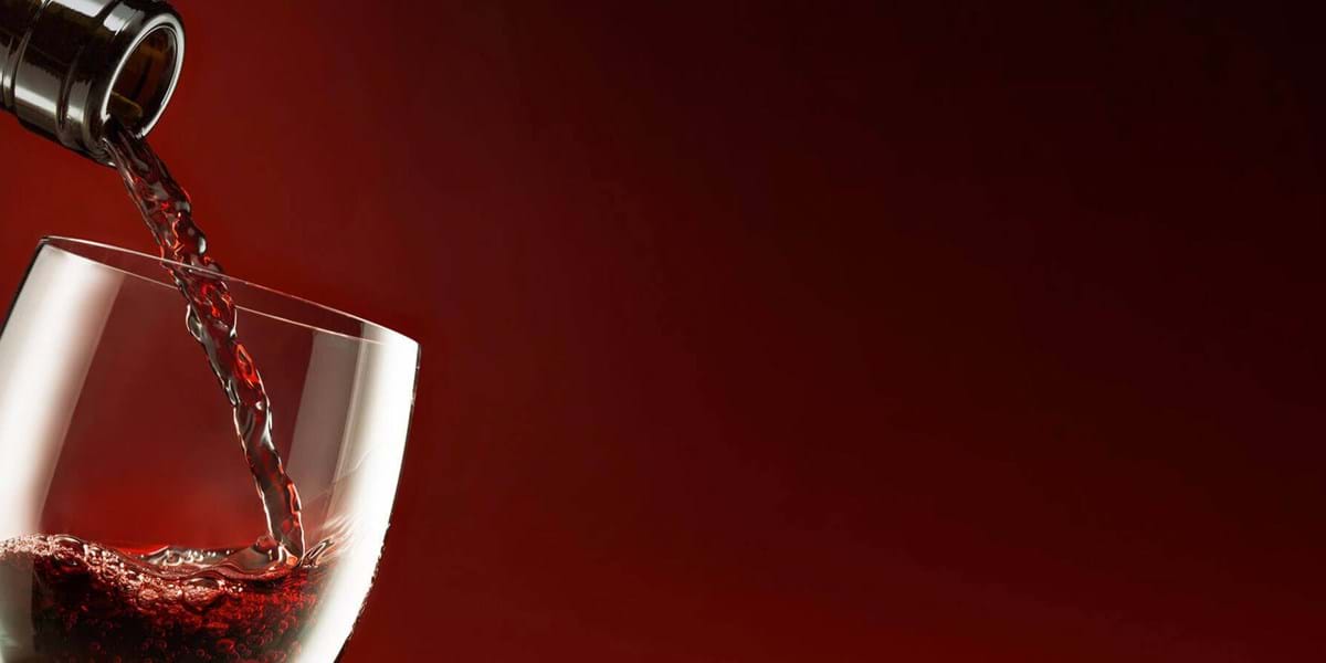 Wine and Gastronomy Festival