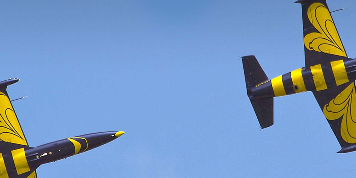 International Air Display plane bumble bee