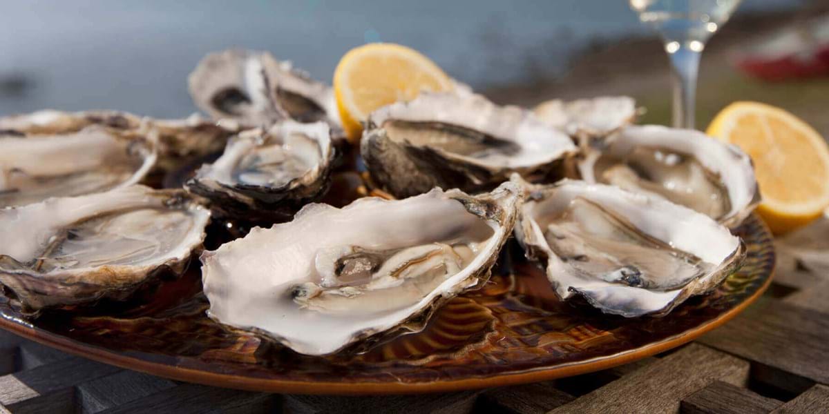 Enjoy fresh seafood at Weymouth Seafood Festival