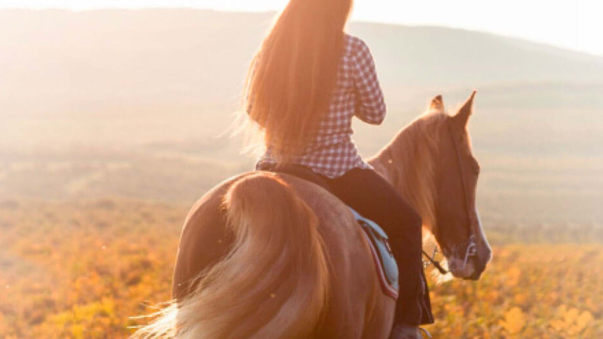 Horse riding in UK
