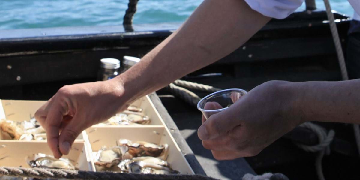 Gastro Cruise in Brittany