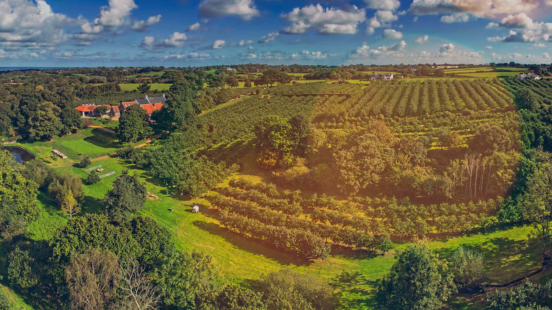 Cider Heaven with Condor Ferries