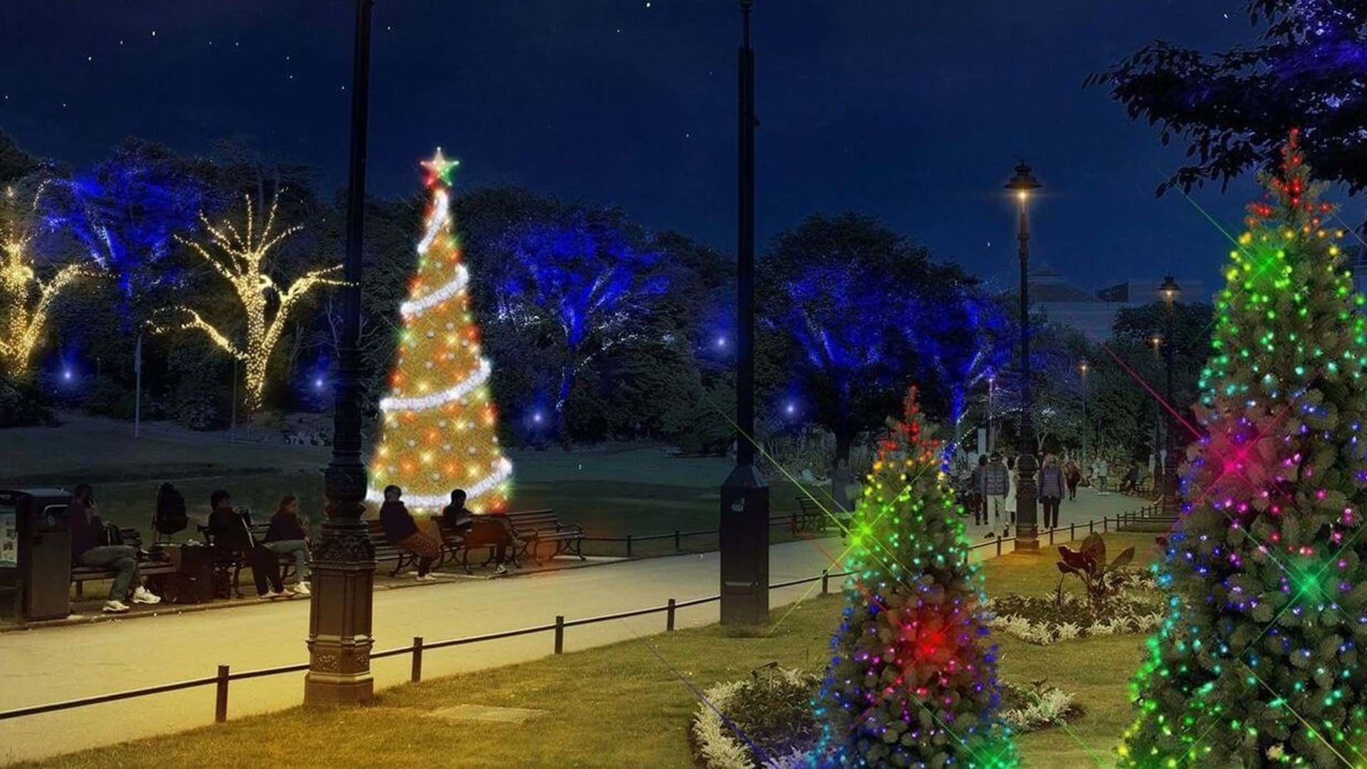 christmas-trees-bournemouth